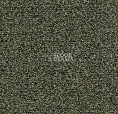 Грязезащитные покрытия Forbo Coral Classic 4758 olive фото 1 | FLOORDEALER